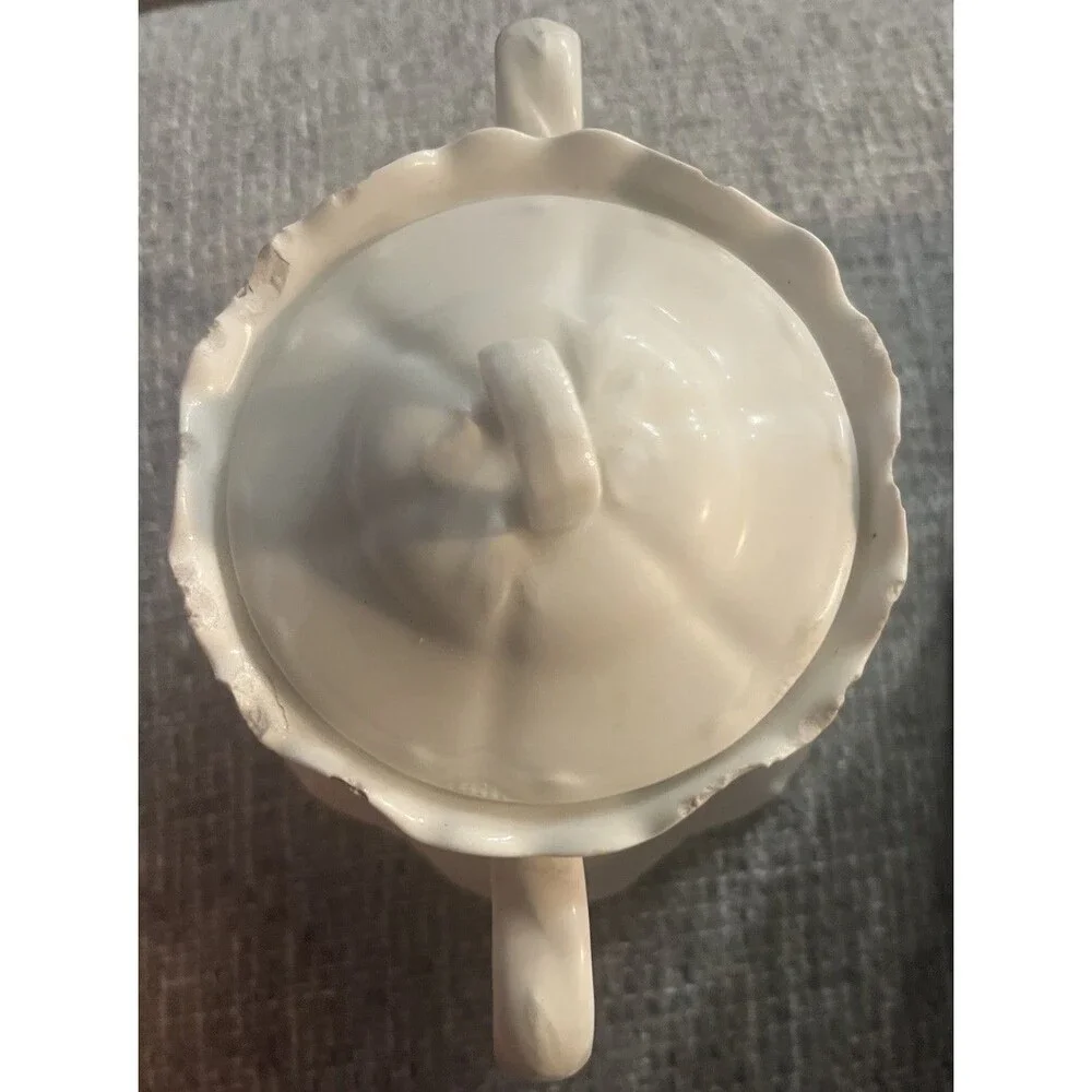 N/A haviland limoges